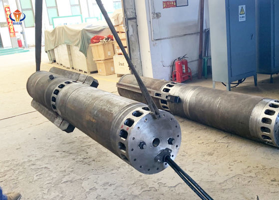 acheter Vibroflot est une machine à pilonner à l'entraînement BJV260E-450 online manufacture